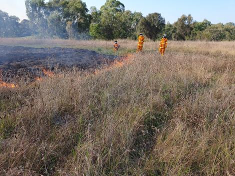 Autumn burn Bababi djinanang Fawkner. Photograph by Michael Longmore.