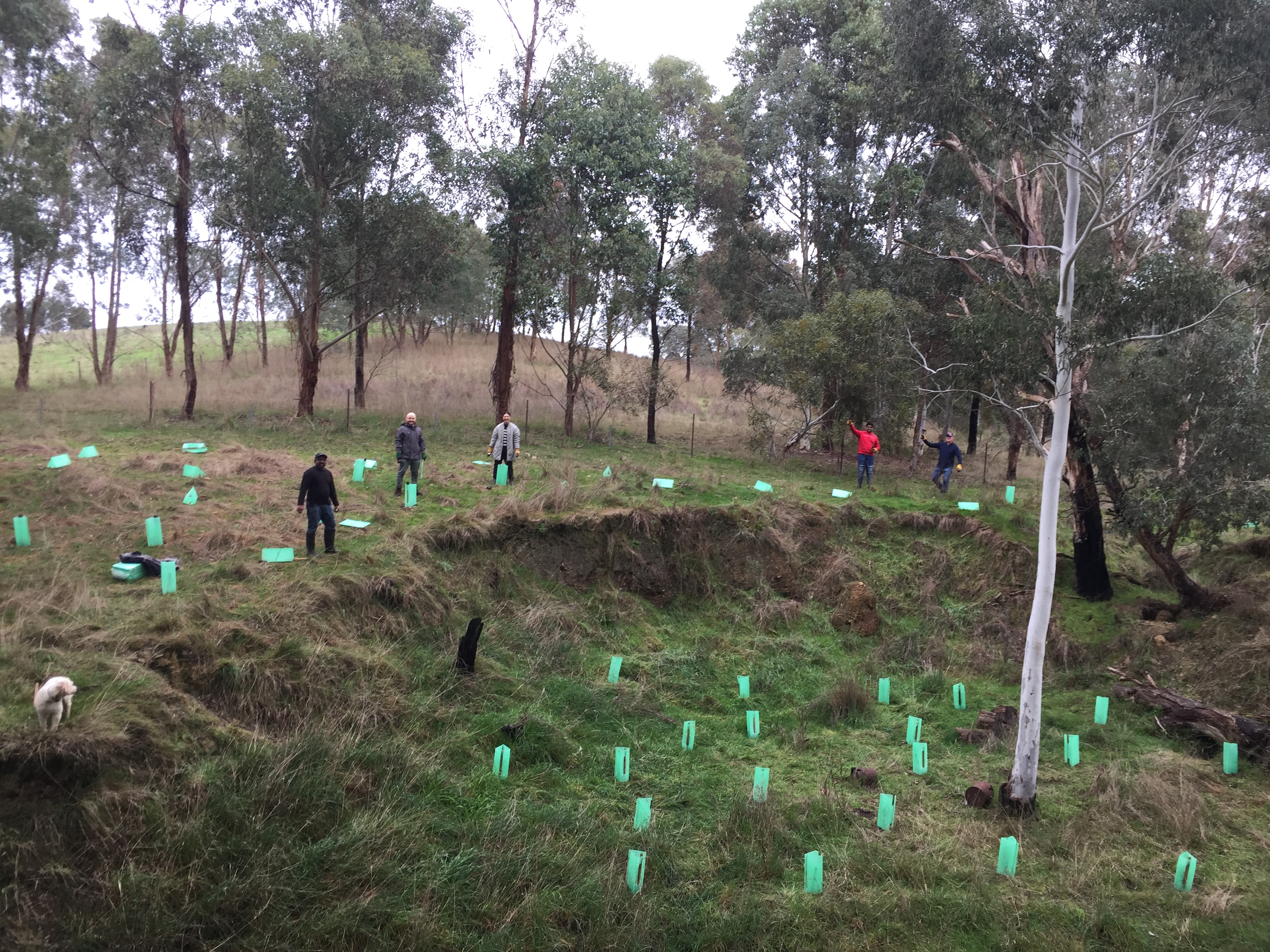 ANZ Crosthwaite 2023 5