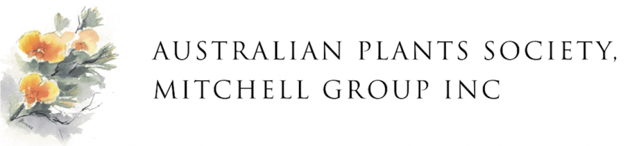 APS MG logo