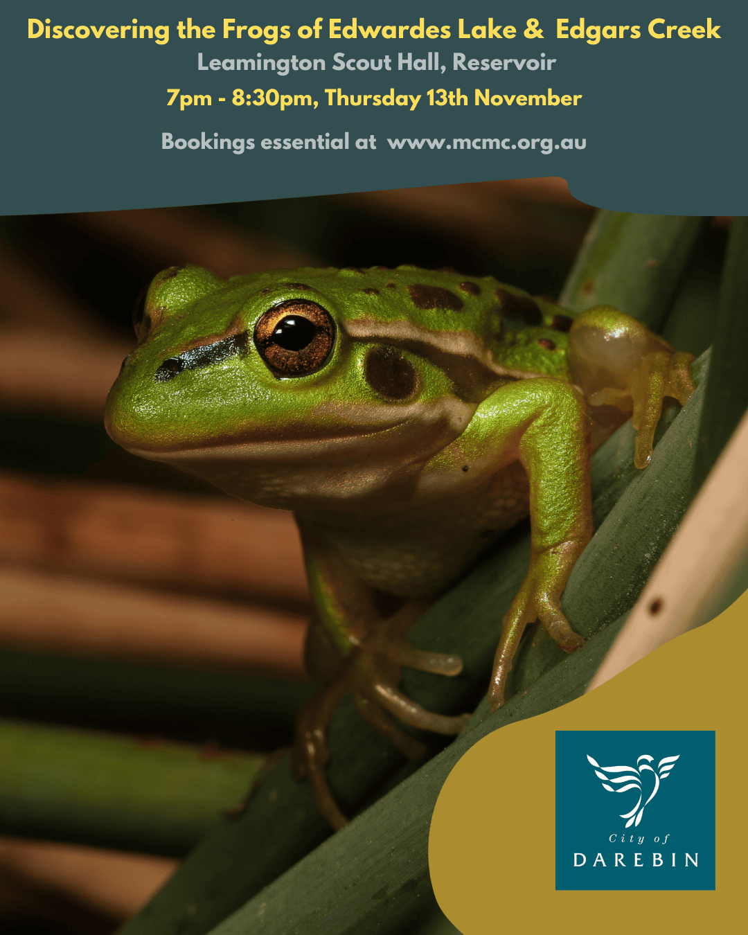 Discovering the Frogs of Edwardes Lake Edgars Creek