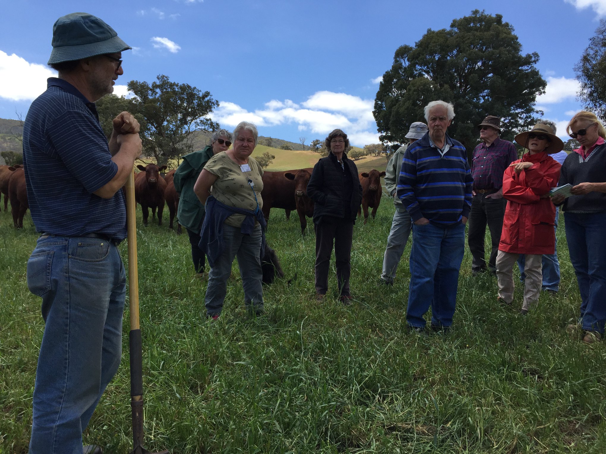 Dung beetle field day1