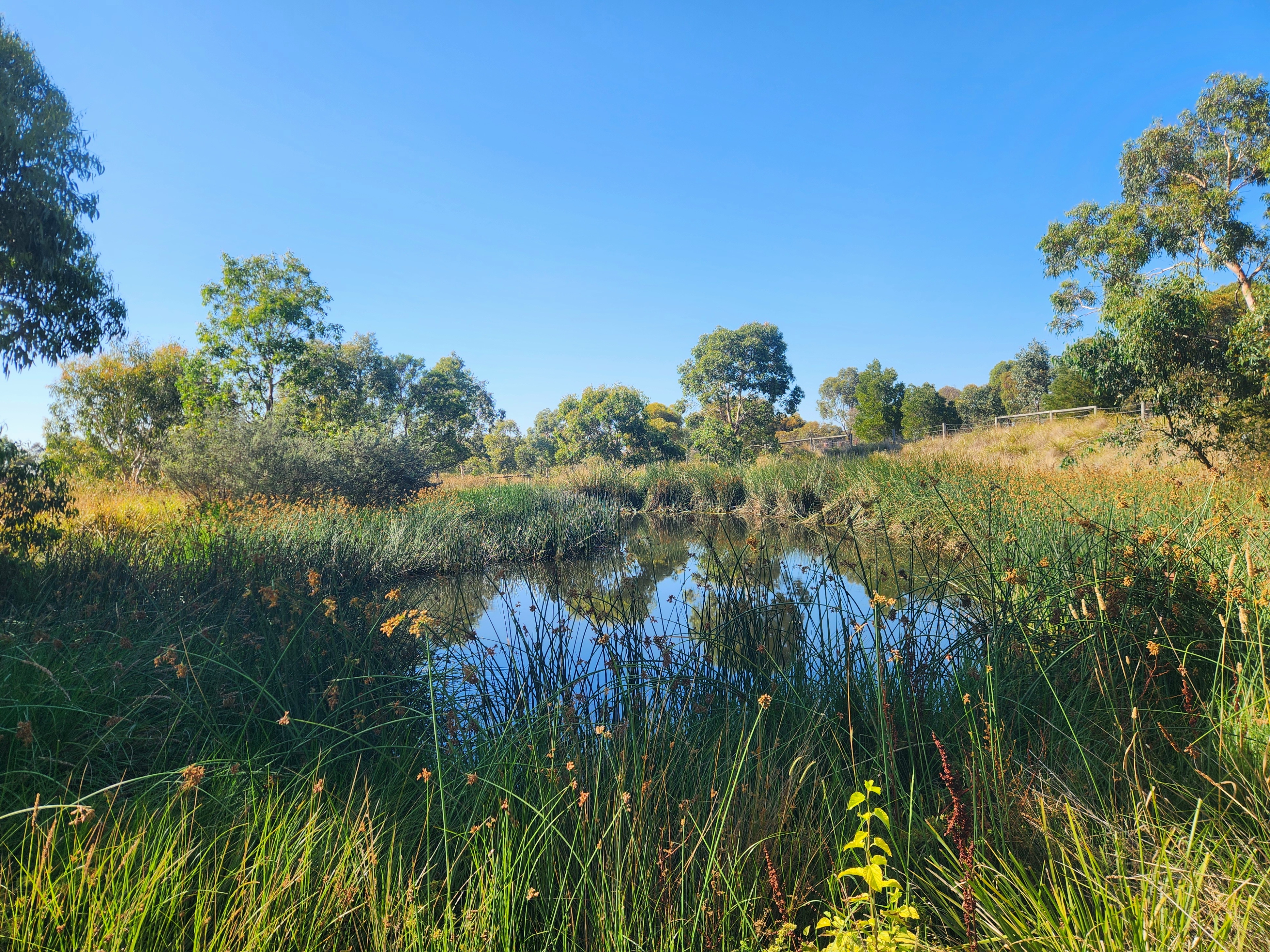 FoMCG litter clean up 1.2.25 3