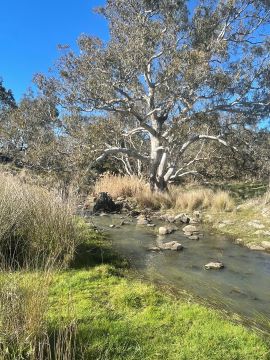 Kate Looker's property