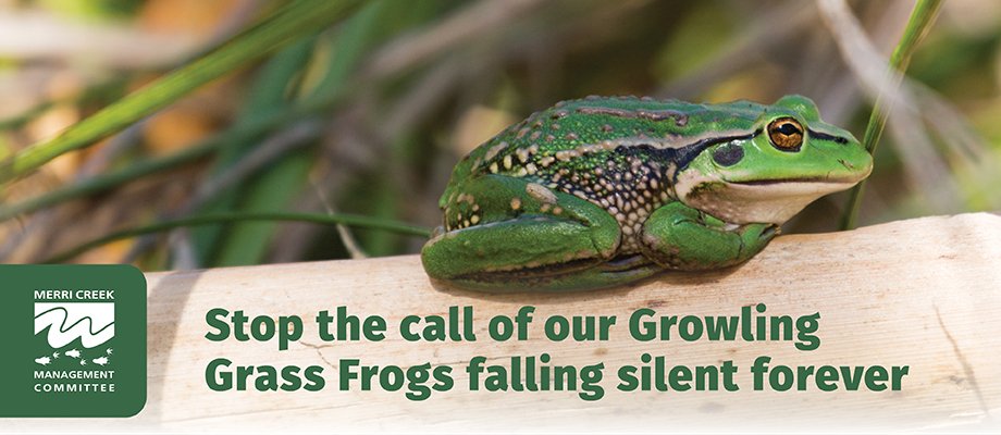 MCM5537 ContentBanner 920x400px