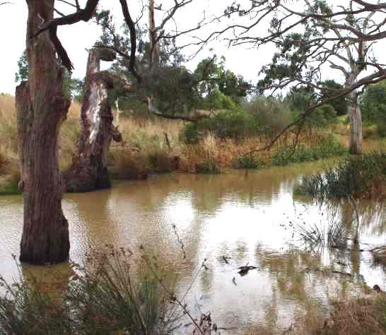 Merri Park in Merriang