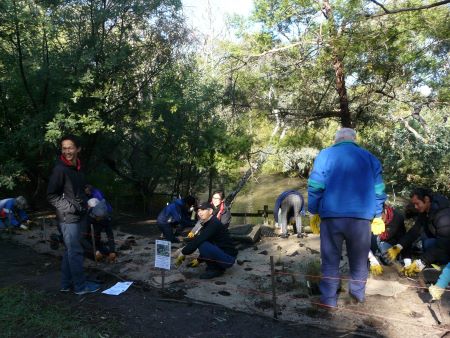 Mothers Day planting 450px