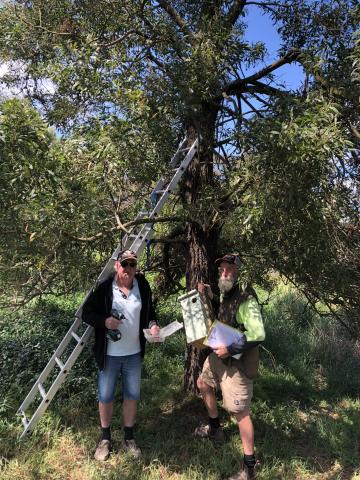 NBs Dry Creek 2024 1