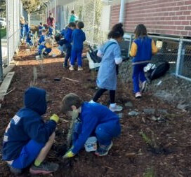 Newlands Primary School students planting