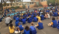 Newlands PS 2019 BlBandedBee assembly