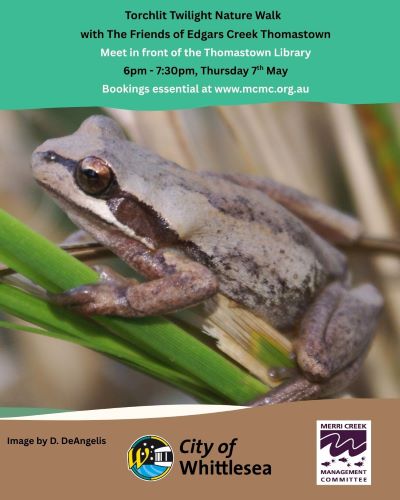 Twilight Walk 7 May 400px