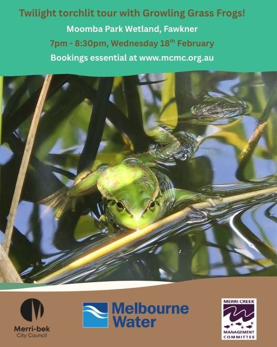 Twilight tour with GGF 3