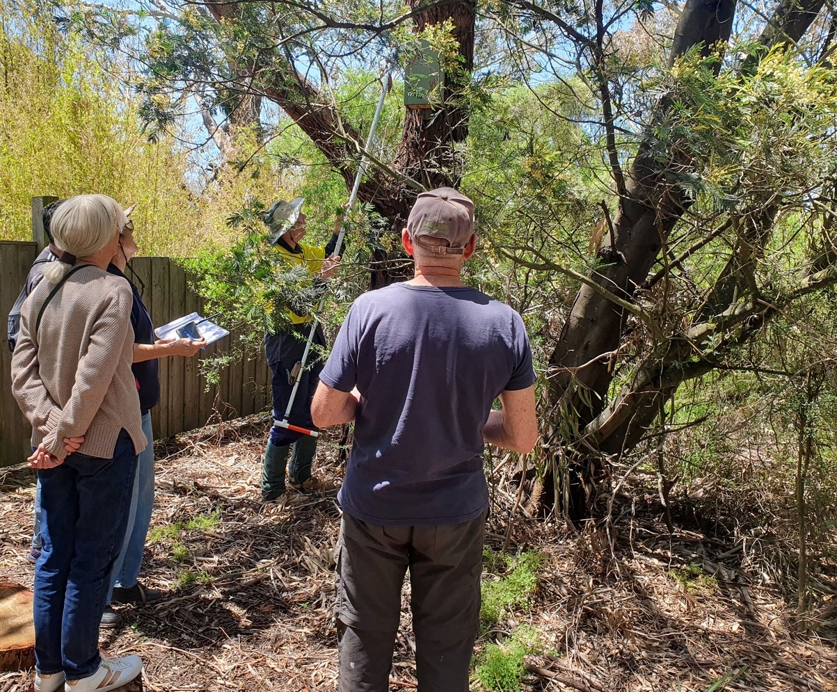 WCP1 CheckingNestBoxes paulpiko 20251203 131839a