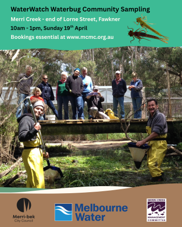 WW Waterbug Community Sampling v2 360px