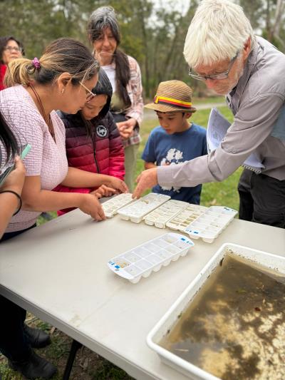 Waterbug workshop 400px