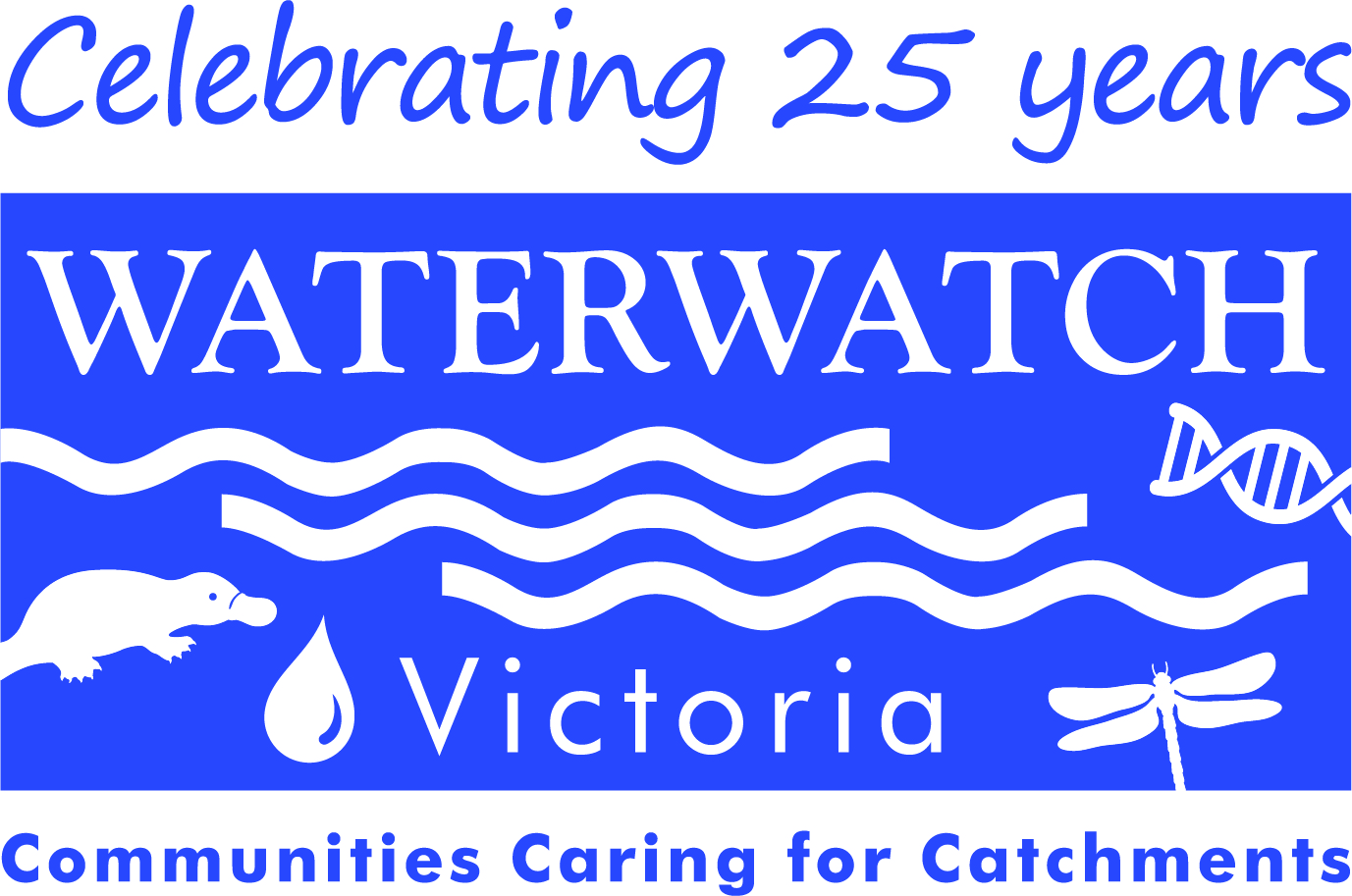 WW Logo Colour 25yrs