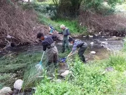 Waterwatch Sampling