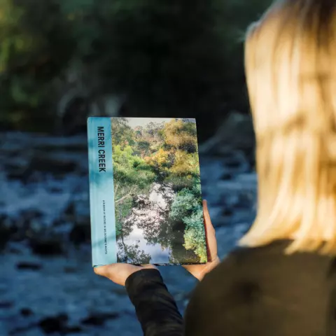 Ribbons of Nature book