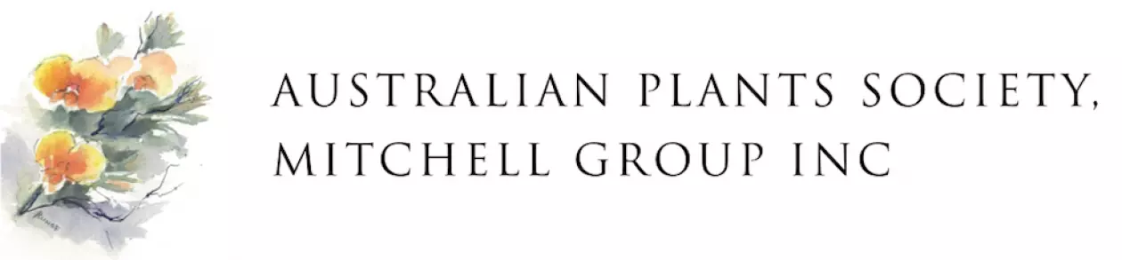 APS MG logo