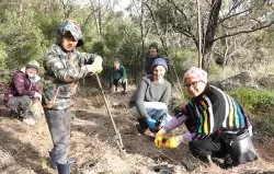 BBB planting