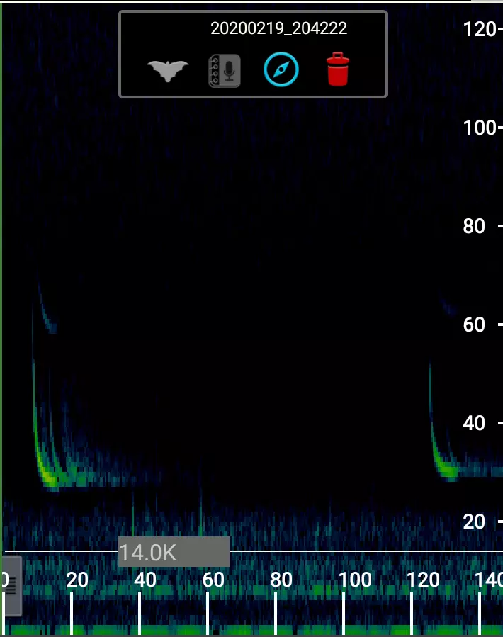 Bat detector spectogram