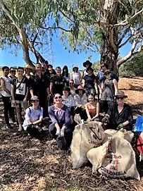 Clean up with Elk group