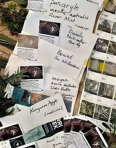 Darebins Educators image