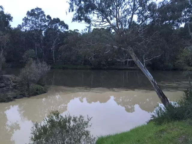 confluence of Merri and Yarra mid-May 2018