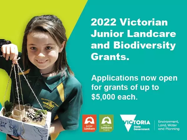 Junior LC grants