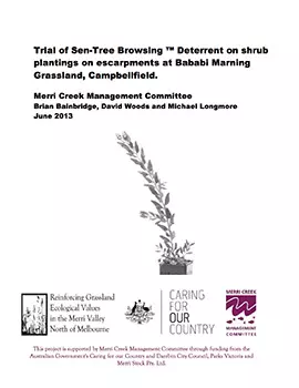 trial of sen tree browsing deterrent on shrub plantings on escarpments at bababi marning grassland