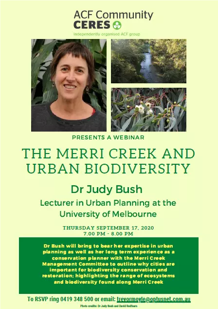 Dr Judy Bush Webinar snapshot
