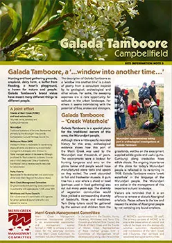 galada tamboore