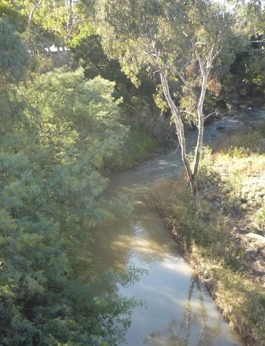 Merri Ck Blyth St upstream 2 02 07 18