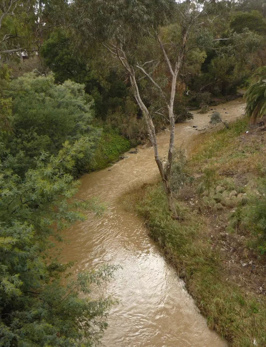 Merri Creek turbidity Blyth St upstream view 22 06 18 2