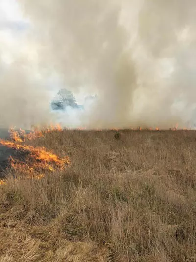 Amberfield Grasslands burn