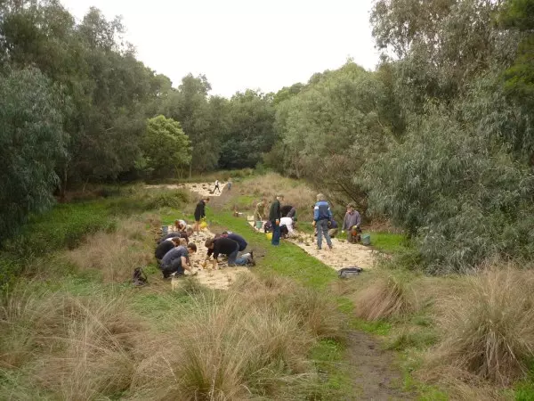 Merri Park Wetland planting May 2014