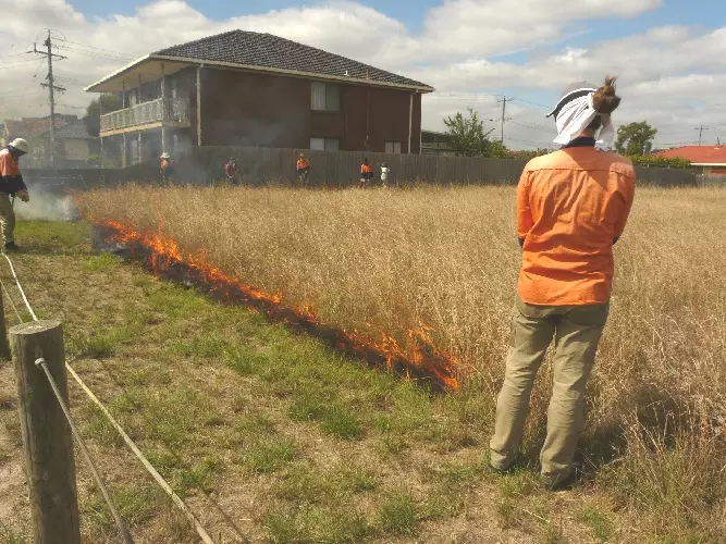 Ngarri burn