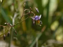 P1200394sm