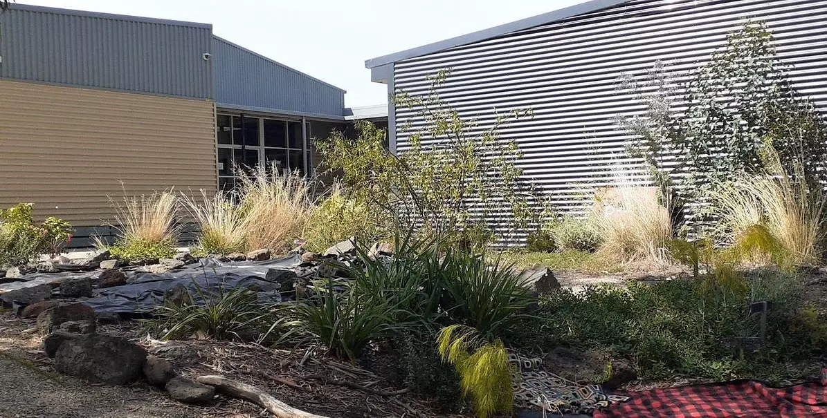 School Indigenous garden