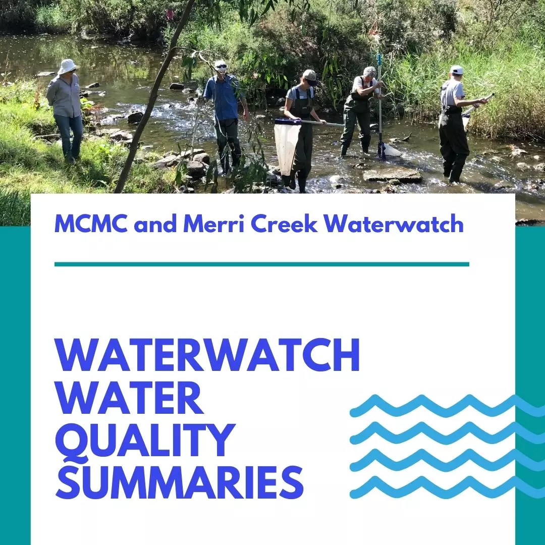 WW WQ Summaries