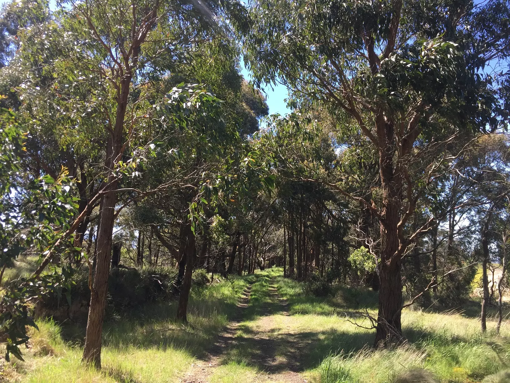 Wallan rail reserve Copy
