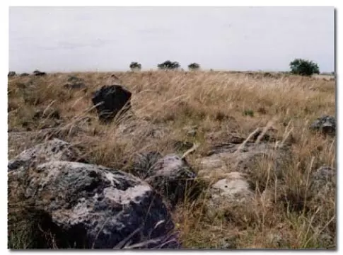 craigieburn grasslands