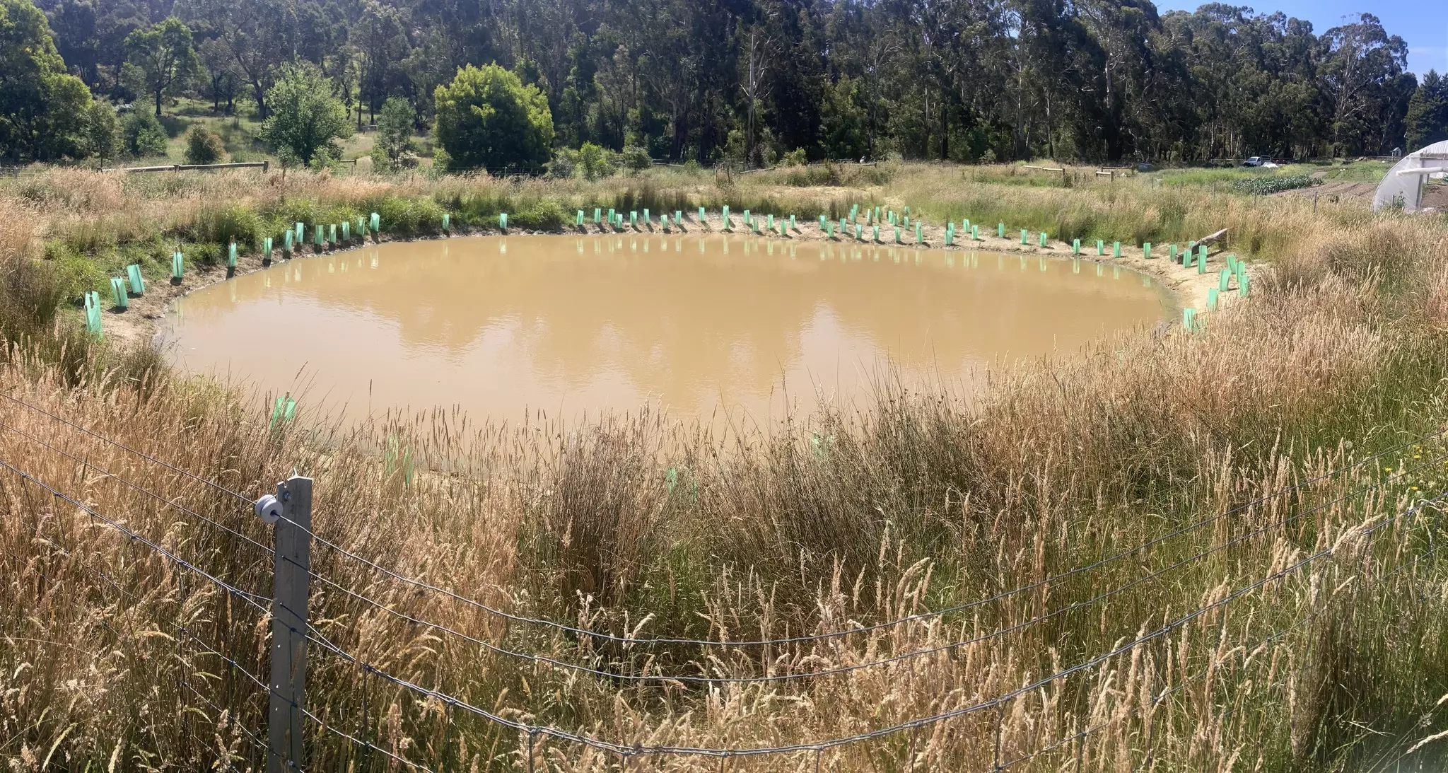 farm dam planting