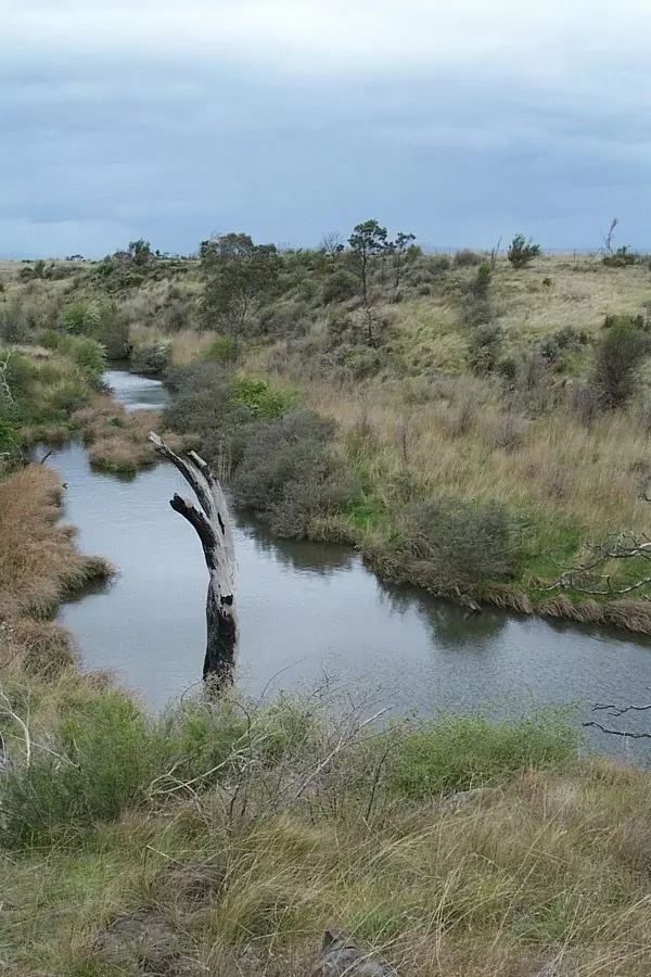 Merri Creek, Galada Tamboore, (Wurundjeri language for Stream Waterhole) Thomastown and Campbellfield. Merri Creek Management Committee.