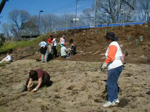 Planting and BBQ day near Rushall Station, North Fitzroy