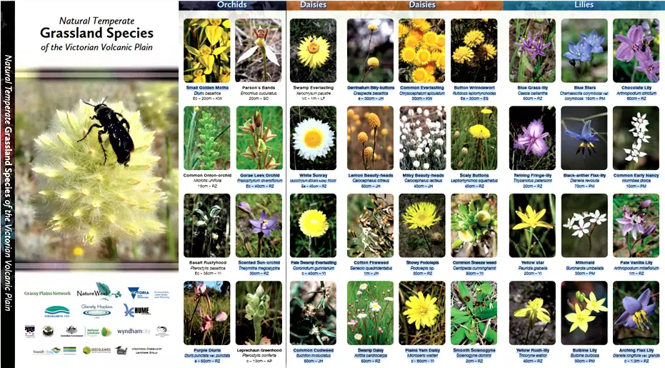thumbnail Grassland leaflet screenshot