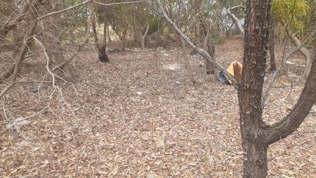 Rubbish at galada tamboore