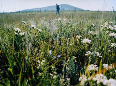 Beveridge looking towards Mt Fraser, by Michael Longmore