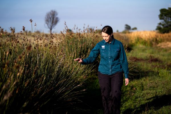 MCMC's Yasmin Kelsall at Curly Sedge Creek