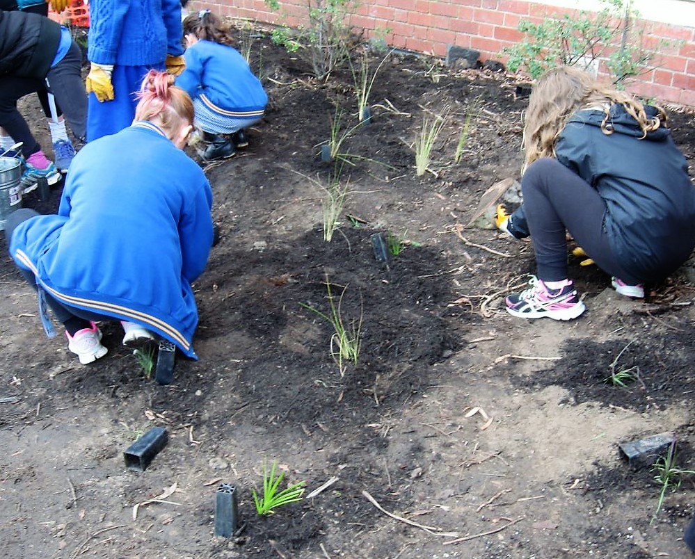 Students planting at ThPS