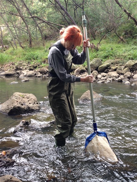 Amy waterbug census